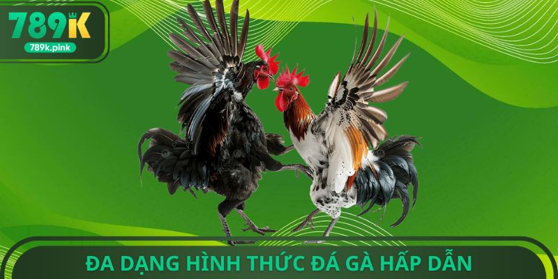 Đa dạng hình thức đá gà hấp dẫn
