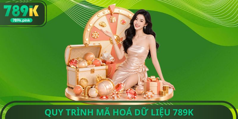 Quy trình mã hoá dữ liệu 789k