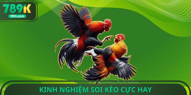 Kinh nghiệm soi kèo cực hay